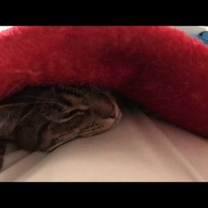 Meet your Posher, Isabelle